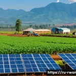 Home 19 르완다 비즈니스 기회 - A modern Rwandan agricultural scene showcasing farmers using advanced drip irrigation systems and au...